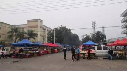 迎創(chuàng)文國(guó)考 促工作提升 烈日下謝崗城市綠化管理新篇章