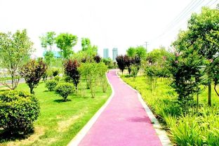 四季常綠三季有花，菏澤市桂陵路景觀(guān)帶美爆城市綠化新風(fēng)尚
