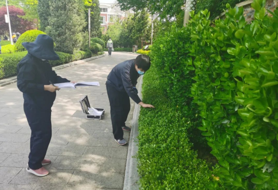 大連首次出臺城市園林綠化三項地方標準 開啟城市綠化管理新篇章